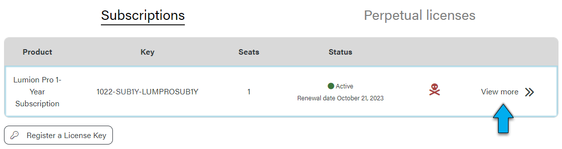 Lumion_Account_-_Subscriptions_-_Overview_-_View_More_button.png