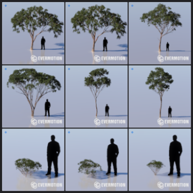 L23_NATURE_04.png