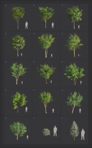 upscaled-trees-2026-page-1-png-20260210
