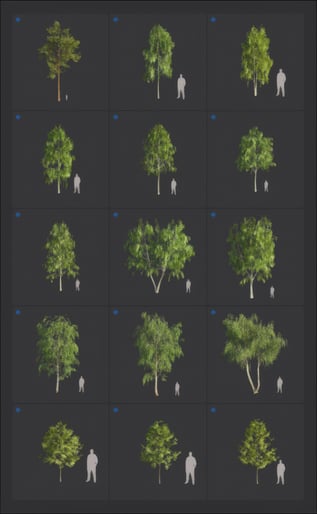 upscaled-trees-2026-page-10-png-20260210