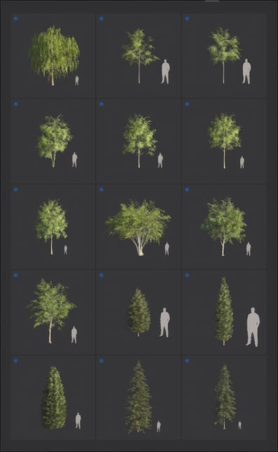 upscaled-trees-2026-page-13-png-20260210