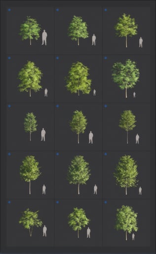 upscaled-trees-2026-page-4-png-20260210