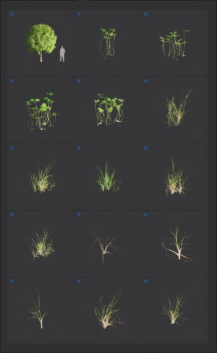 upscaled-trees-2026-page-6-png-20260210