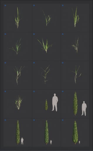 upscaled-trees-2026-page-7-png-20260210