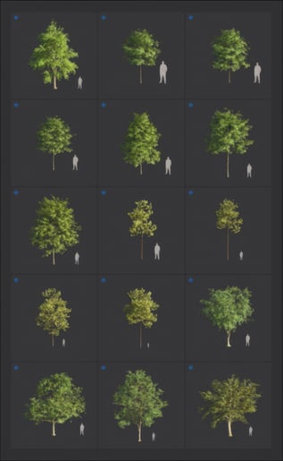 upscaled-trees-2026-page-8-png-20260210
