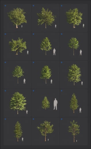 upscaled-trees-2026-page-9-png-20260210