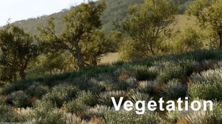 vegetation setup