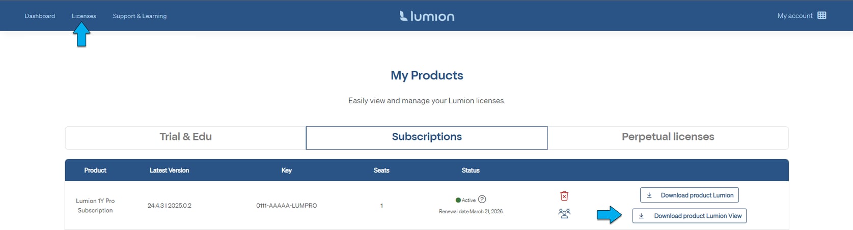 All About View: Getting Started with Lumion View