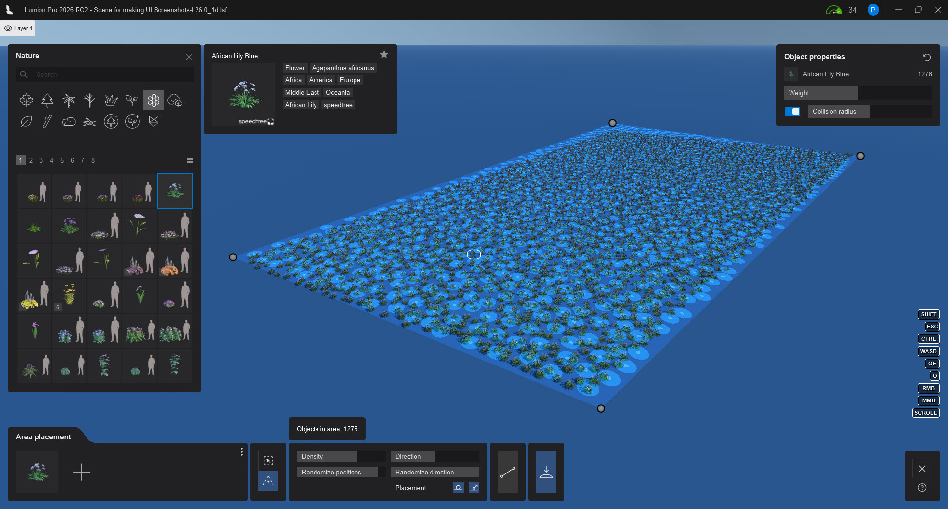 Add Pro Area How do you use the Area Placement Tool?