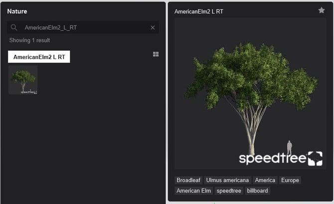 Model change - example AmericanElm2_L_RT -L2025.2.2 in Library