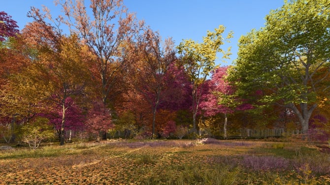 Template Nature 720p _hdr_Fall