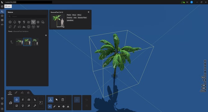 Placement Tools - Single - Nature 1 Palm