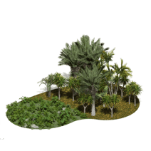 TROPICAL- GROUND AND TREES