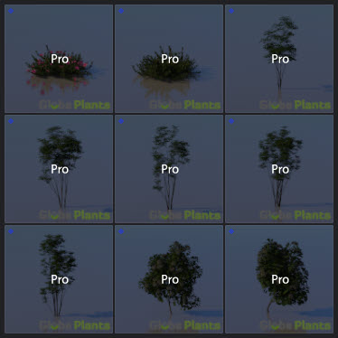 L2023.3 Standard Update Library Models _Nature _LargeTh-3x3 _02.jpg