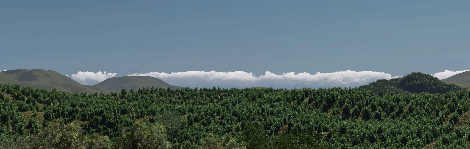 horizon.gif