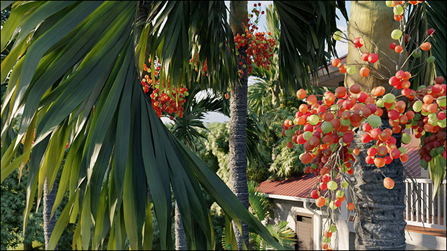 62_Fine-Detail_Nature_objects.png